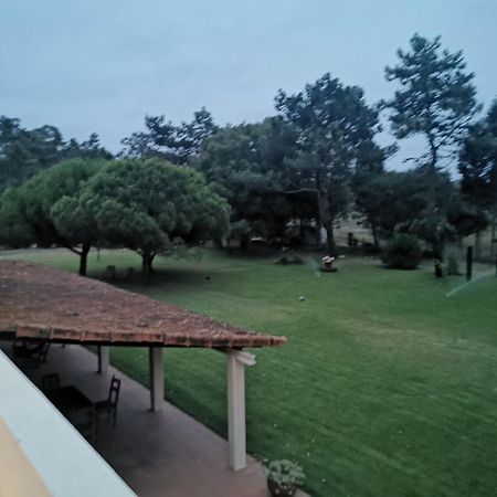 T1 Na Casa Da Quinta S Jose Villa Praia de Mira Exterior photo