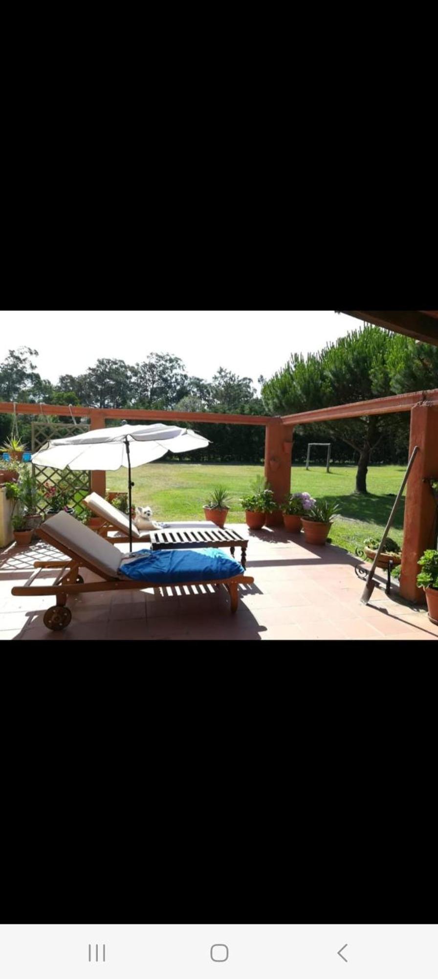 T1 Na Casa Da Quinta S Jose Villa Praia de Mira Exterior photo
